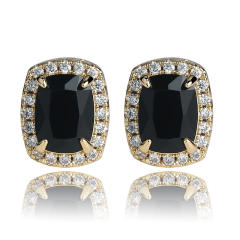Hiphop Zircon stud earrings