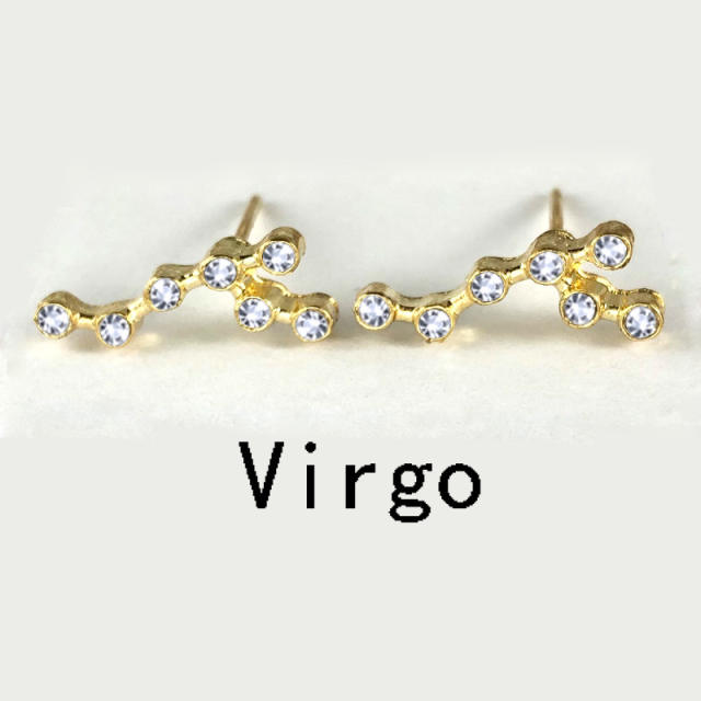 Wish hot sale zodiac ear studs
