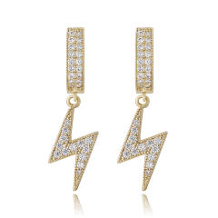 Hip hop zircon earrings