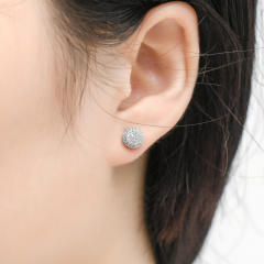 Hip hop zircon stud earrings