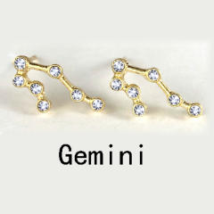 Wish hot sale zodiac ear studs