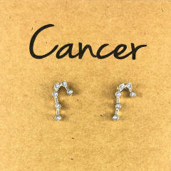 Wish hot sale zodiac ear studs