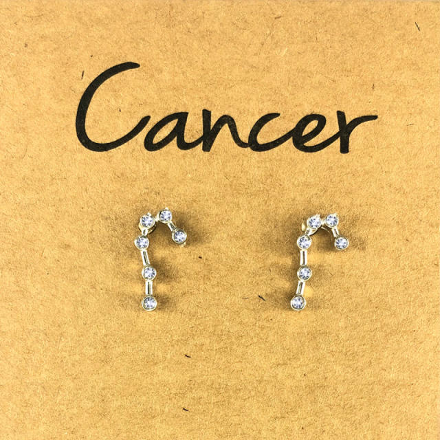 Wish hot sale zodiac ear studs