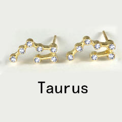 Wish hot sale zodiac ear studs