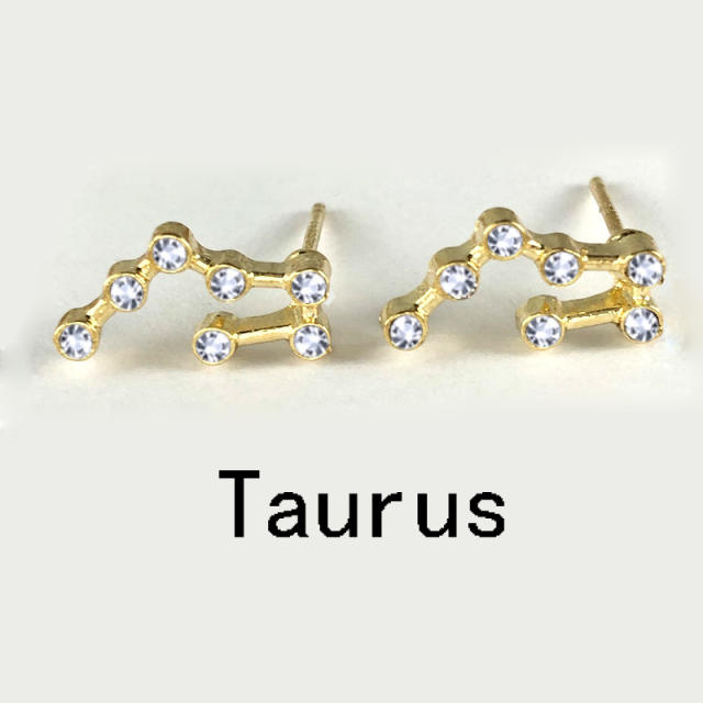 Wish hot sale zodiac ear studs