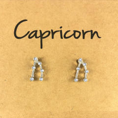 Wish hot sale zodiac ear studs