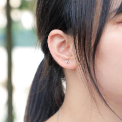 Hip hop zircon stud earrings