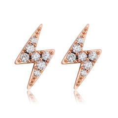 Hip hop zircon stud earrings
