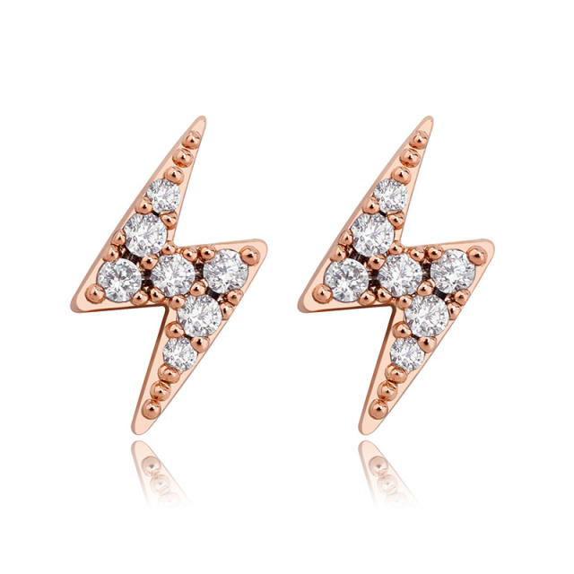 Hip hop zircon stud earrings
