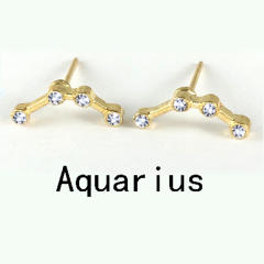Wish hot sale zodiac ear studs