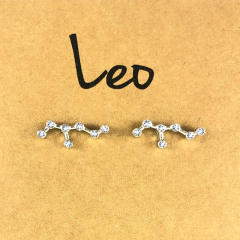 Wish hot sale zodiac ear studs
