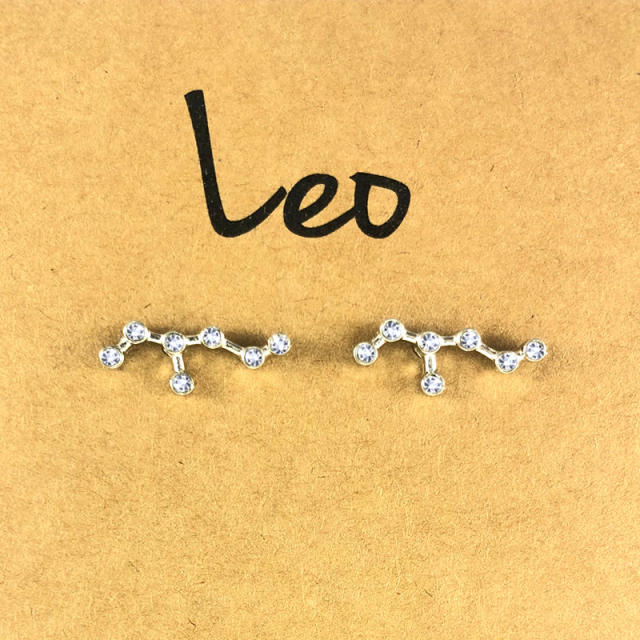 Wish hot sale zodiac ear studs
