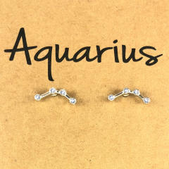 Wish hot sale zodiac ear studs