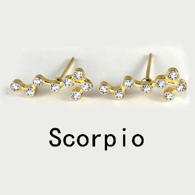 Wish hot sale zodiac ear studs