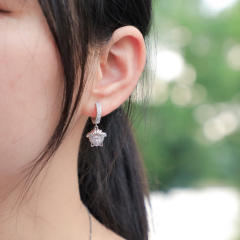 Hip hop zircon earrings