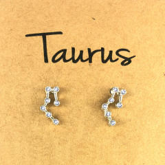 Wish hot sale zodiac ear studs