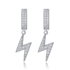 Hip hop zircon earrings