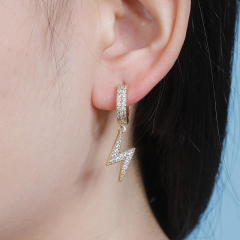 Hip hop zircon earrings