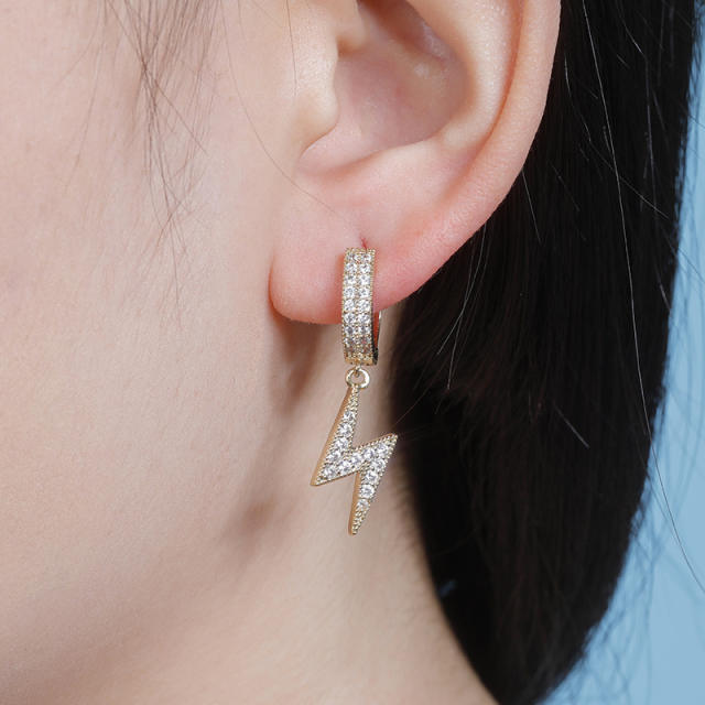 Hip hop zircon earrings