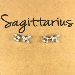 Wish hot sale zodiac ear studs
