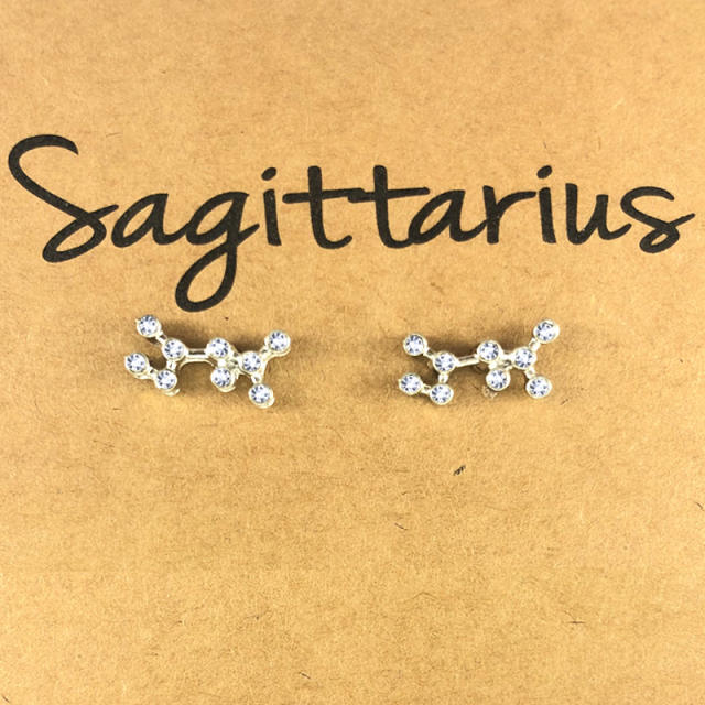 Wish hot sale zodiac ear studs
