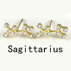 Wish hot sale zodiac ear studs