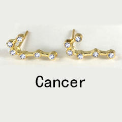 Wish hot sale zodiac ear studs
