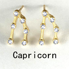 Wish hot sale zodiac ear studs
