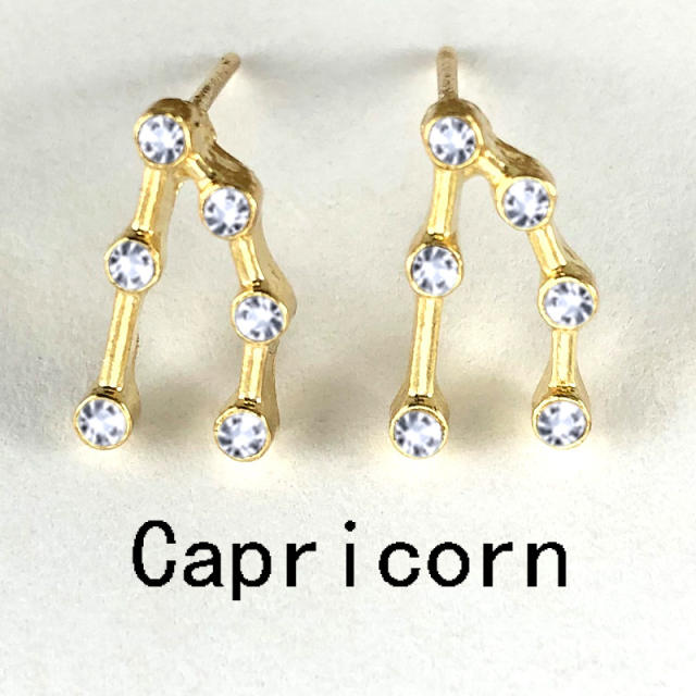 Wish hot sale zodiac ear studs