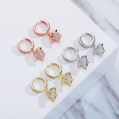Hip hop zircon earrings