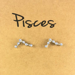 Wish hot sale zodiac ear studs