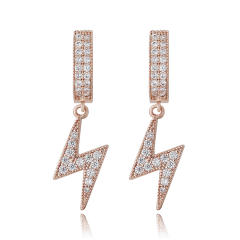 Hip hop zircon earrings