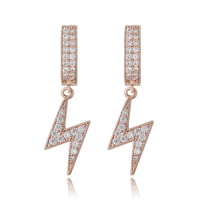 Hip hop zircon earrings