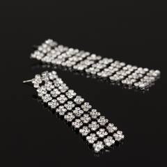 Delicate rhinestone long earrings
