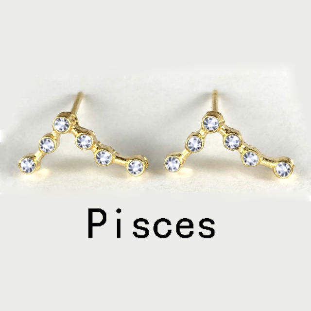 Wish hot sale zodiac ear studs