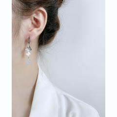 INS Frost butterfly dangle earrings stainless steel