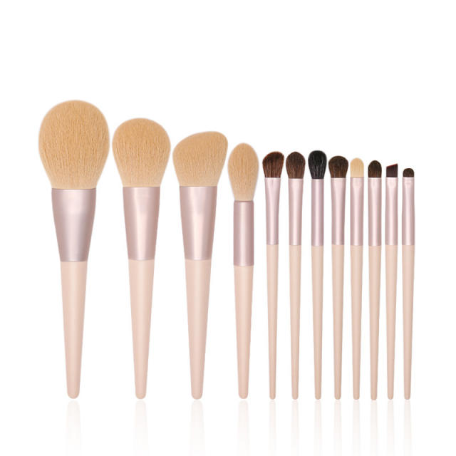 10pcs/12pcs elegant color makeup brushes set