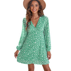Patterned chiffon long sleeve dress