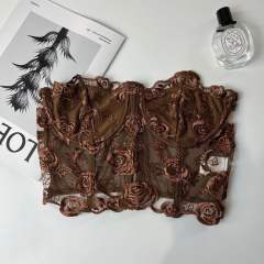 Y2K sexy sheer corset tops