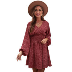 Patterned chiffon long sleeve dress