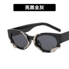 Popular easy match women sunglasses