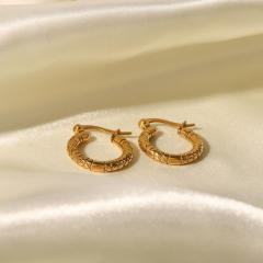 Stainless steel earrings unique hoop earrings