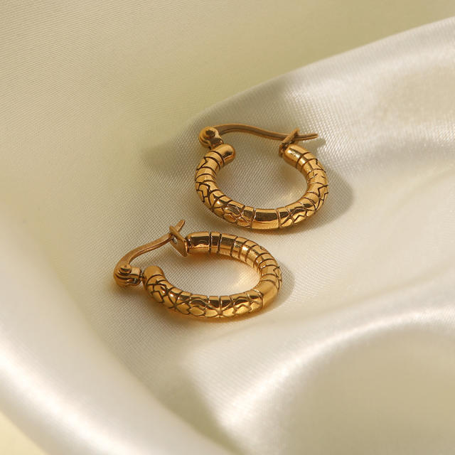 Stainless steel earrings unique hoop earrings