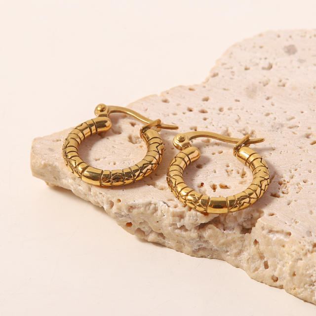 Stainless steel earrings unique hoop earrings