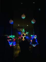 Hot sale christmas decoration led light