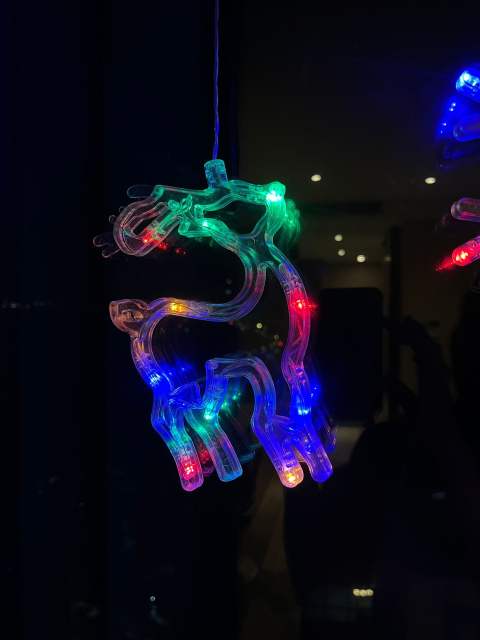 Hot sale christmas decoration led light