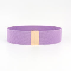 5cm plain color easy match elastic corset belt