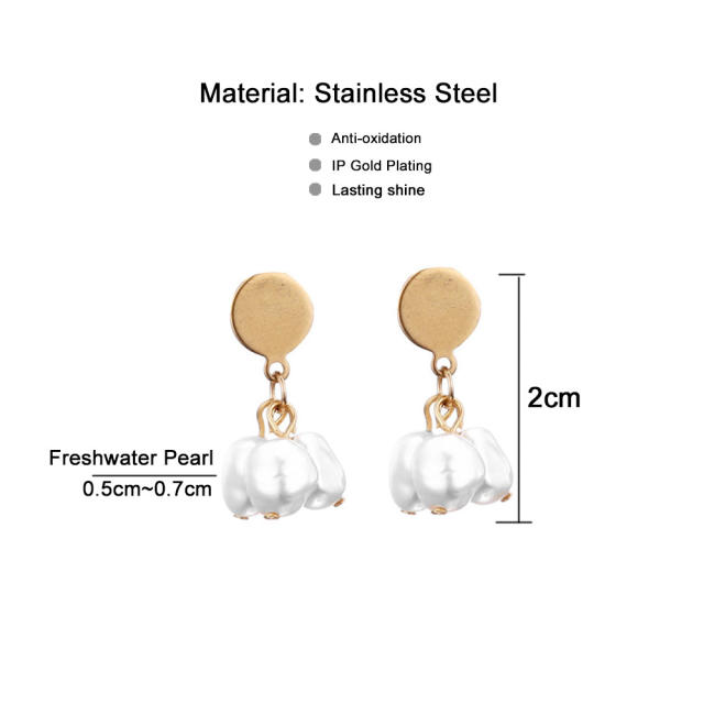 Elegant pearl bead stainless steel earrings
