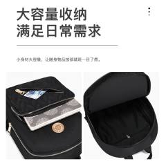 Large capacity backpack