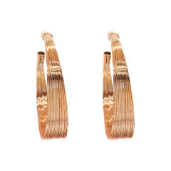 Korean fashion elegant metal hoop earrings
